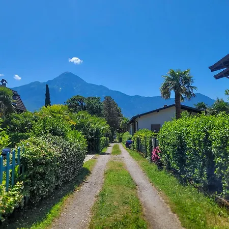 Bassotta Strand-blockhaus 索里科