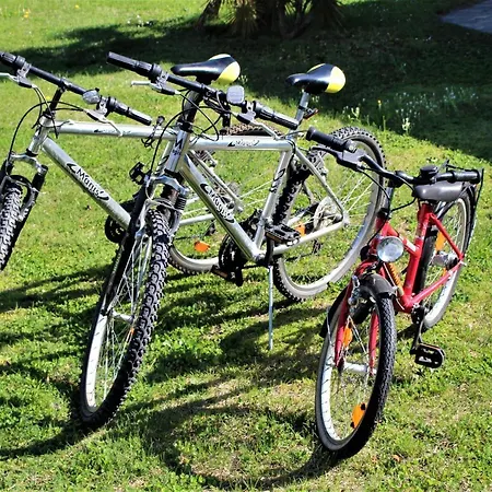 Bassotta Strand-blockhaus Feriehus *